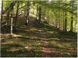 Stara Fužina - Planina Vodični vrh